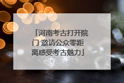 河南考古打开院门 邀请公众零距离感受考古魅力