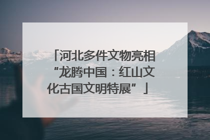 河北多件文物亮相“龙腾中国：红山文化古国文明特展”