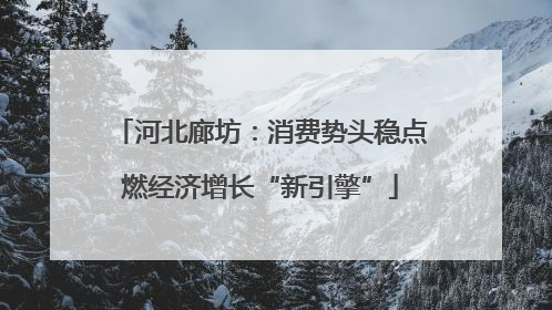 河北廊坊：消费势头稳点燃经济增长“新引擎”