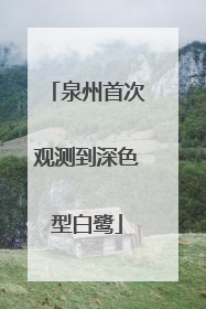 泉州首次观测到深色型白鹭