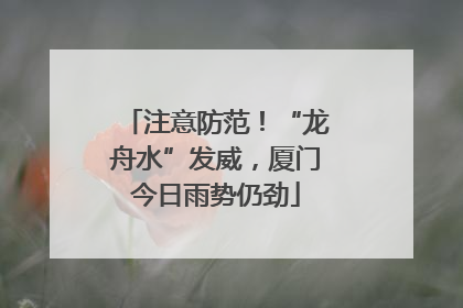 注意防范！“龙舟水”发威，厦门今日雨势仍劲