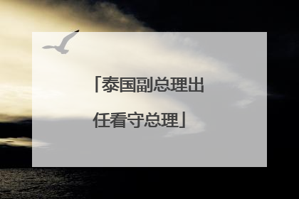 泰国副总理出任看守总理