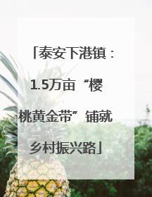 泰安下港镇：1.5万亩“樱桃黄金带”铺就乡村振兴路
