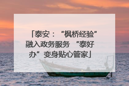 泰安：“枫桥经验”融入政务服务 “泰好办”变身贴心管家