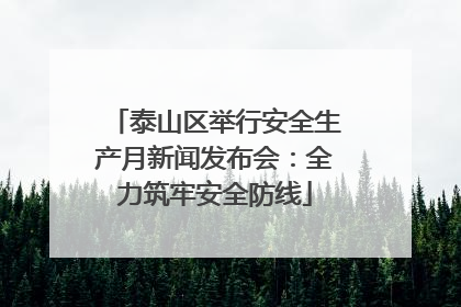 泰山区举行安全生产月新闻发布会：全力筑牢安全防线