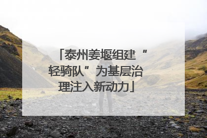 泰州姜堰组建“轻骑队”为基层治理注入新动力