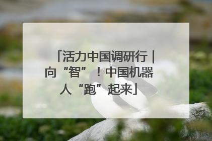 活力中国调研行｜向“智”！中国机器人“跑”起来