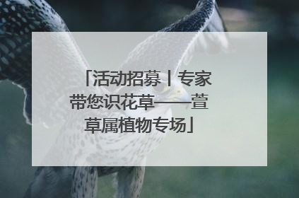 活动招募丨专家带您识花草——萱草属植物专场