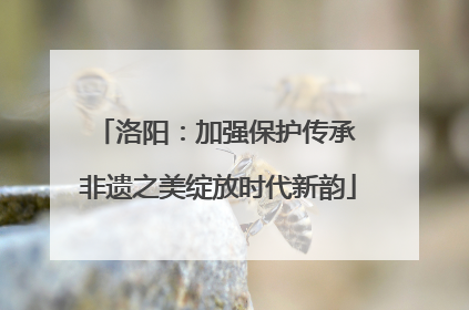 洛阳：加强保护传承 非遗之美绽放时代新韵