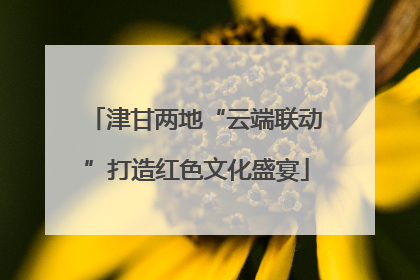 津甘两地“云端联动”打造红色文化盛宴