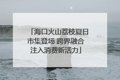 海口火山荔枝夏日市集登场 跨界融合注入消费新活力