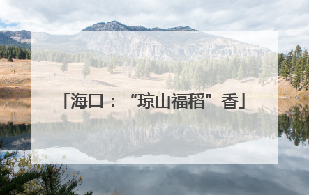 海口：“琼山福稻”香