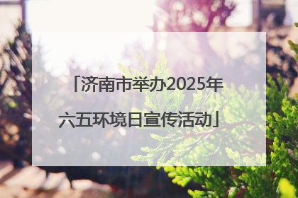 济南市举办2025年六五环境日宣传活动
