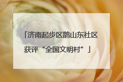 济南起步区鹊山东社区获评“全国文明村”