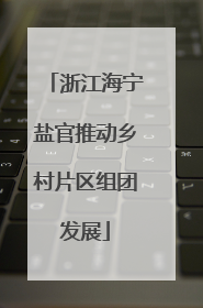 浙江海宁盐官推动乡村片区组团发展