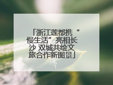 浙江莲都携“慢生活”亮相长沙 双城共绘文旅合作新图景