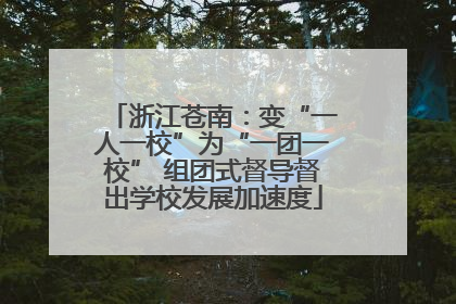 浙江苍南：变“一人一校”为“一团一校” 组团式督导督出学校发展加速度