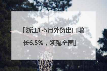 浙江1-5月外贸出口增长6.5%，领跑全国