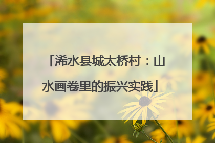 浠水县城太桥村：山水画卷里的振兴实践
