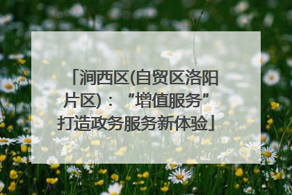 涧西区(自贸区洛阳片区)：“增值服务”打造政务服务新体验