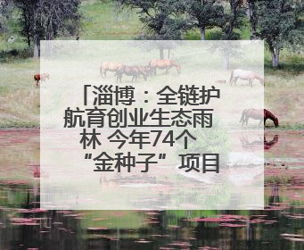 淄博：全链护航育创业生态雨林 今年74个“金种子”项目加速培育 政策性扶持创业9754人