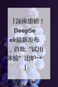 深夜重磅！DeepSeek最新发布，首批“试用体验”出炉→