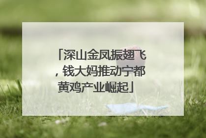 深山金凤振翅飞，钱大妈推动宁都黄鸡产业崛起