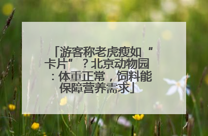 游客称老虎瘦如“卡片”？北京动物园：体重正常，饲料能保障营养需求