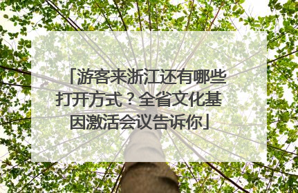 游客来浙江还有哪些打开方式？全省文化基因激活会议告诉你