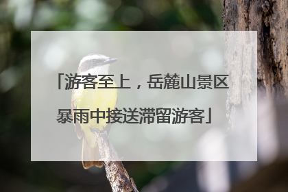 游客至上，岳麓山景区暴雨中接送滞留游客