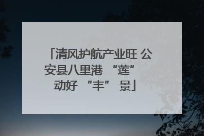 清风护航产业旺 公安县八里港 “莲” 动好 “丰” 景