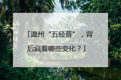 温州“五经普”，背后藏着哪些变化？