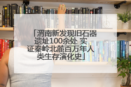 渭南新发现旧石器遗址100余处 实证秦岭北麓百万年人类生存演化史