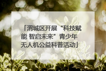 渭城区开展“科技赋能 智启未来”青少年无人机公益科普活动