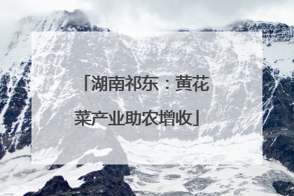 湖南祁东：黄花菜产业助农增收