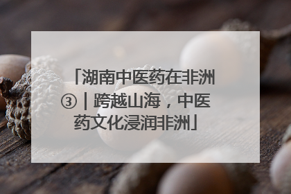 湖南中医药在非洲③｜跨越山海，中医药文化浸润非洲