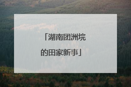 湖南团洲垸的田家新事