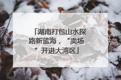 湖南打包山水探路新蓝海，“卖场”开进大湾区