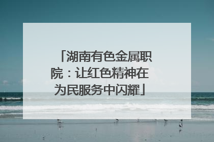 湖南有色金属职院：让红色精神在为民服务中闪耀