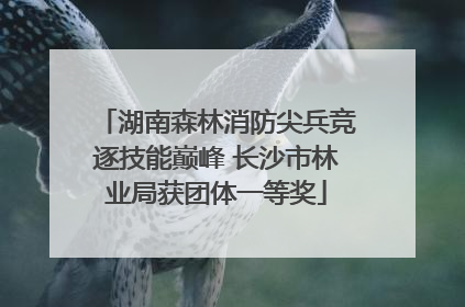湖南森林消防尖兵竞逐技能巅峰 长沙市林业局获团体一等奖