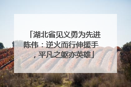 湖北省见义勇为先进陈伟：逆火而行伸援手，平凡之躯亦英雄