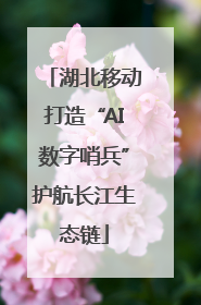 湖北移动打造“AI数字哨兵”护航长江生态链