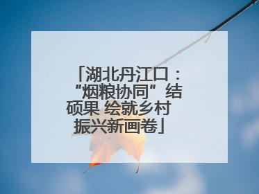 湖北丹江口：“烟粮协同”结硕果 绘就乡村振兴新画卷