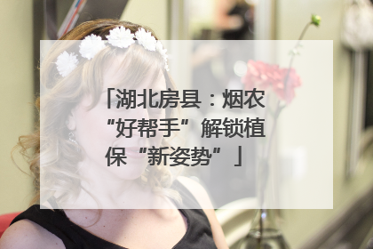 湖北房县：烟农“好帮手”解锁植保“新姿势”