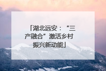 湖北远安：“三产融合”激活乡村振兴新动能