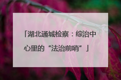 湖北通城检察：综治中心里的“法治前哨”