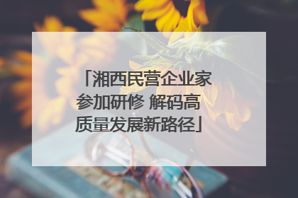 湘西民营企业家参加研修 解码高质量发展新路径