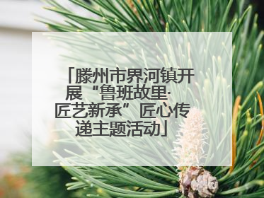 滕州市界河镇开展“鲁班故里· 匠艺新承”匠心传递主题活动