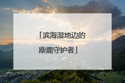 滨海湿地边的麋鹿守护者