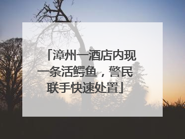 漳州一酒店内现一条活鳄鱼，警民联手快速处置